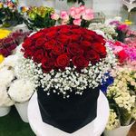 گلفروشی استبرقی