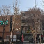 سینما سوره