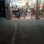 فروشگاه بهداد