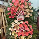 گل فروشی دنیز آنلاین (شعبه 2)