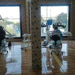 دکتر میلاد ربیعی