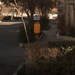 جای پارک