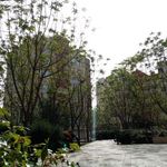 بوستان شکوفه
