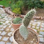 باغ رستوران سنتی باباطاهر