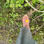 خدمات تخصصی ناخن نگار