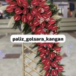 گلفروشی پالیز