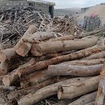 کارگاه مصالح ساختمانی و آهن آلات رسول شفیعی