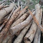 کارگاه مصالح ساختمانی و آهن آلات رسول شفیعی