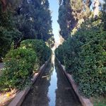 باغ تفریحی ارم