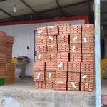 شرکت بستنی و لبنیاتی نیوشا