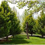 سرویس بهداشتی پارک گل نرگس