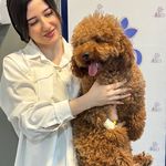 بیمارستان دامپزشکی شبانه روزی درنیکا