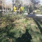 سرویس بهداشتی بوستان گلستانه