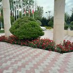 هتل آکادمی ملی المپیک