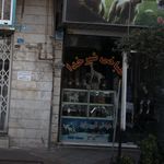 طباخی بره سفید