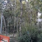 بوستان شب تاب