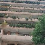 مجتمع مسکونی پارک