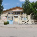 نشاط
