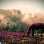 جاده آستارا اردبیل (گردنه حیران)