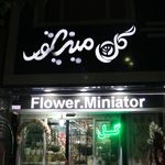 گل مریم