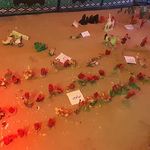 گیم سنتر عرشیا