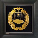 امیدزنوزی وکیل پایه یک دادگستری
