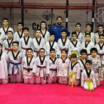 آکادمی تکواندو قدیانی