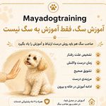 مربی و اموزش و تربیت سگ (mayadogtrainer)