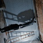 علی اصغر نعمتی