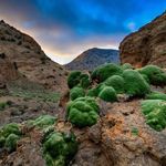 آبشار پردمه