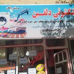 خشکشویی دلفین