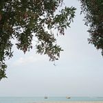بوستان کیش