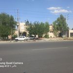 باغ رستوران گیلاس
