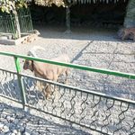 پارکینگ باغ وکیل آباد