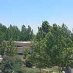 سرویس بهداشتی دریاچه خلیج فارس 4
