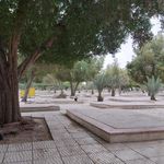 پارک جنگلی