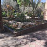 سازمان جهاد کشاورزی استان کرمان