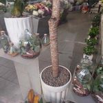 گل فروشی لاله