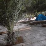 پارک جنگلی