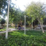 بوستان رضوان