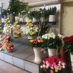 گل فروشی لاله