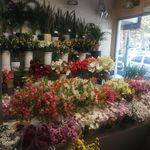 گل فروشی لاله