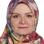 اموزش زبان انگلیسی اگزمینر  آیلتس هانیه