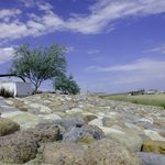 مجتمع گردشگری ساحلی باری