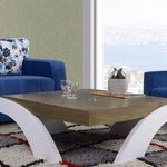 طراحان دیدنو