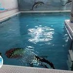 مجموعه ورزشی لارستان