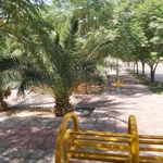 بوستان همدلی