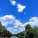 خوابگاه پردیس یک