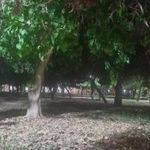 پارک نسترن