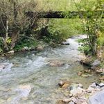 تعمیرگاه چین سنتر